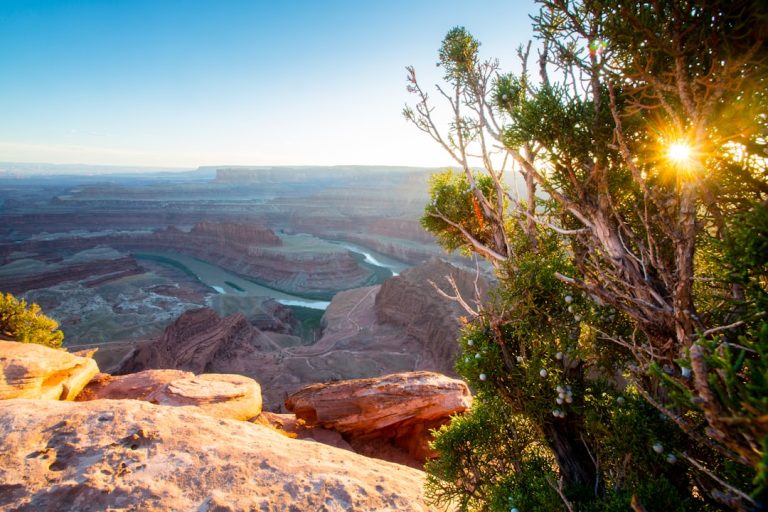 Unconventional Eco-Friendly Travel: Exploring the Wild Sustainably