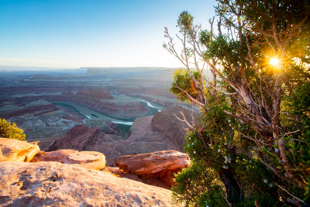 Unconventional Eco-Friendly Travel: Exploring the Wild Sustainably Unconventional Eco-Friendly Travel: Exploring the Wild Sustainably